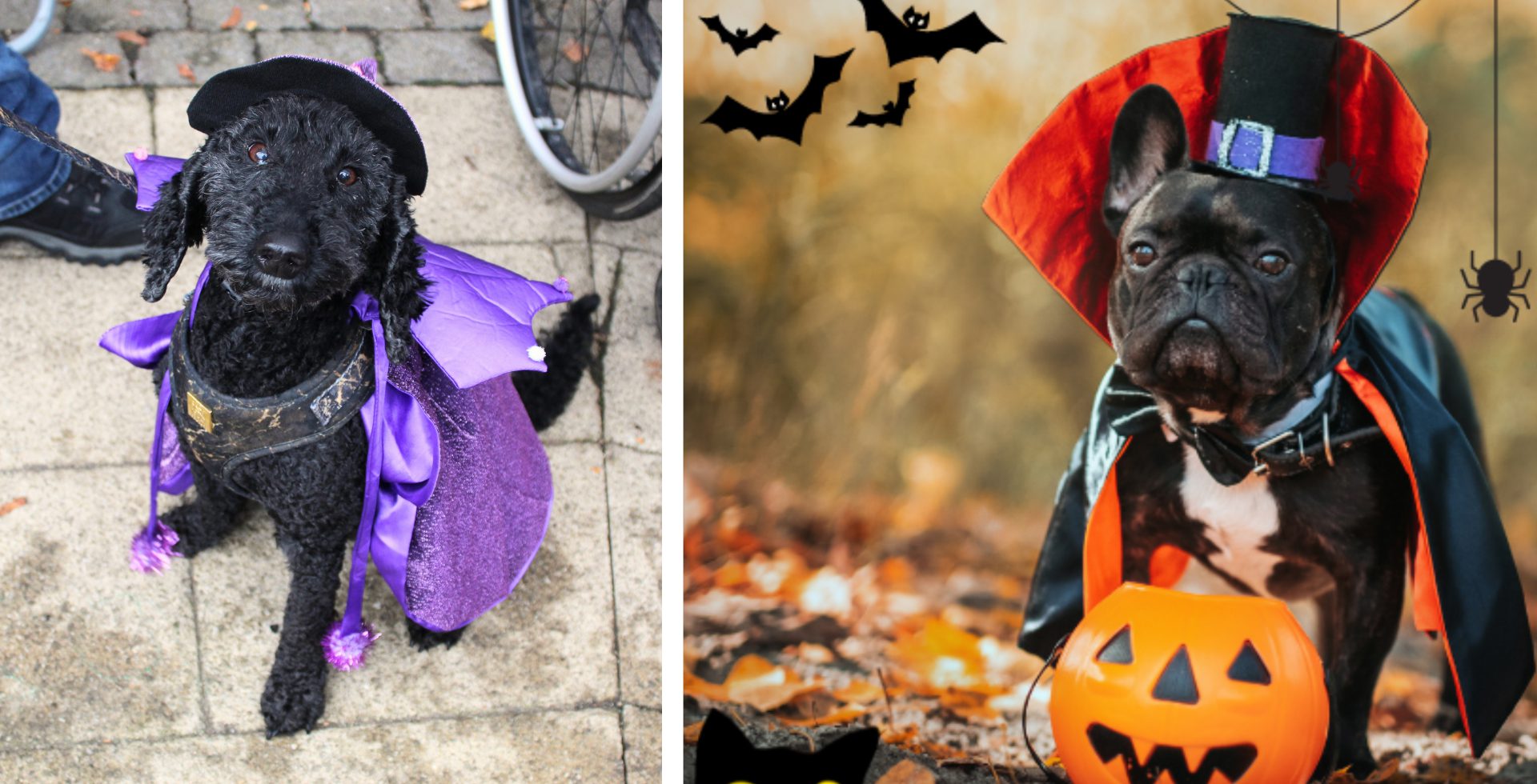 Howl-o-Ween - Land of Oak & Iron at Land of Oak & Iron