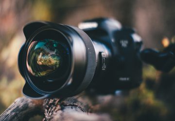Large camera on wooden branch