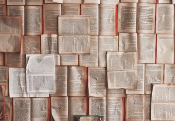 Many open books laid out together
