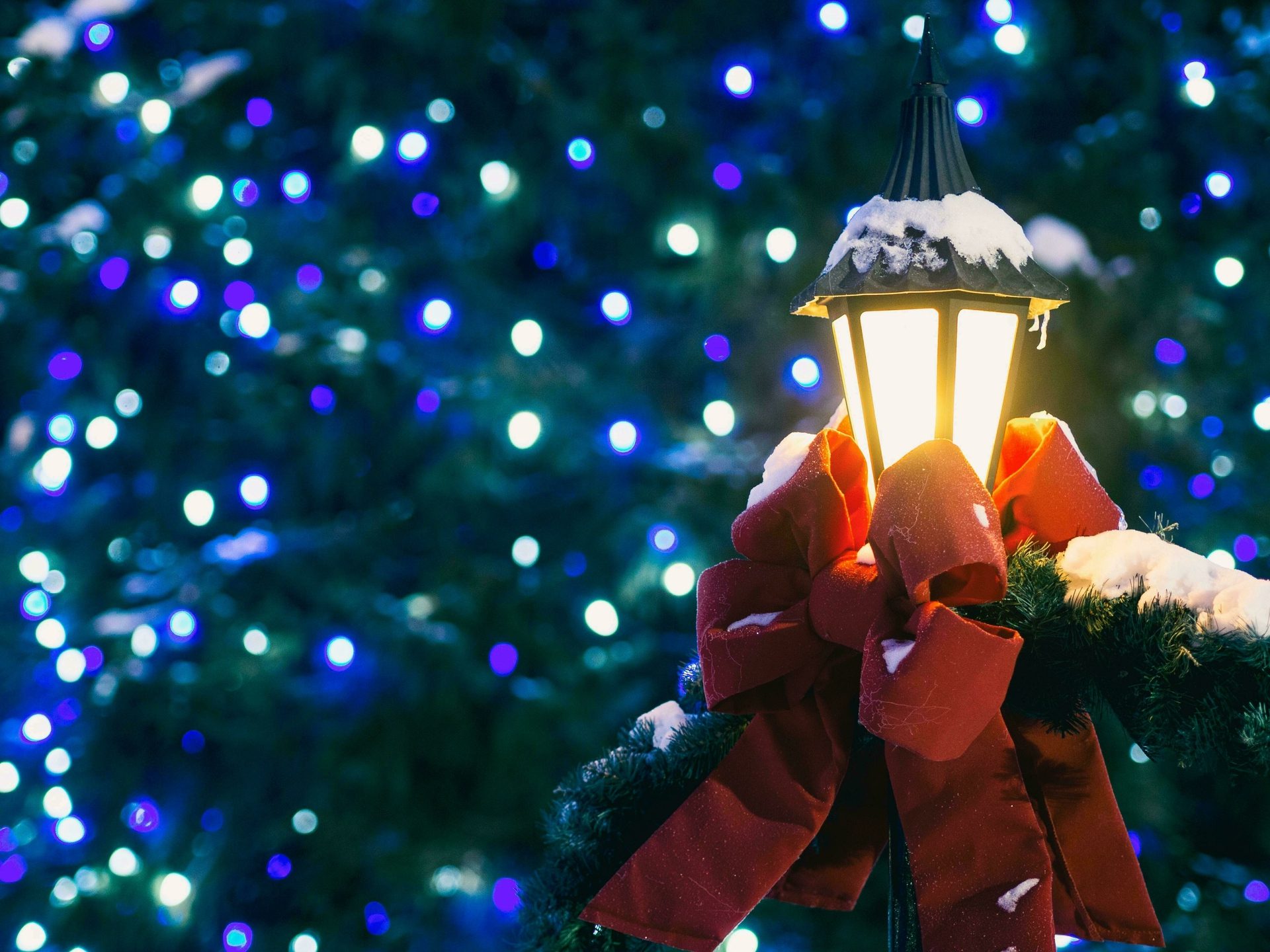 The Canny Christmas Show - Discovery Museum