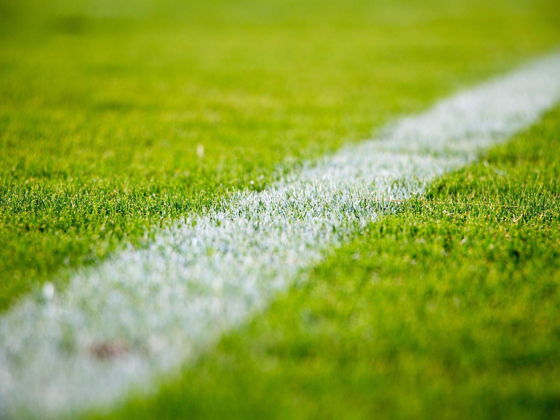 Premier League: Newcastle United vs Fulham - St James' Park at Neville Hall
