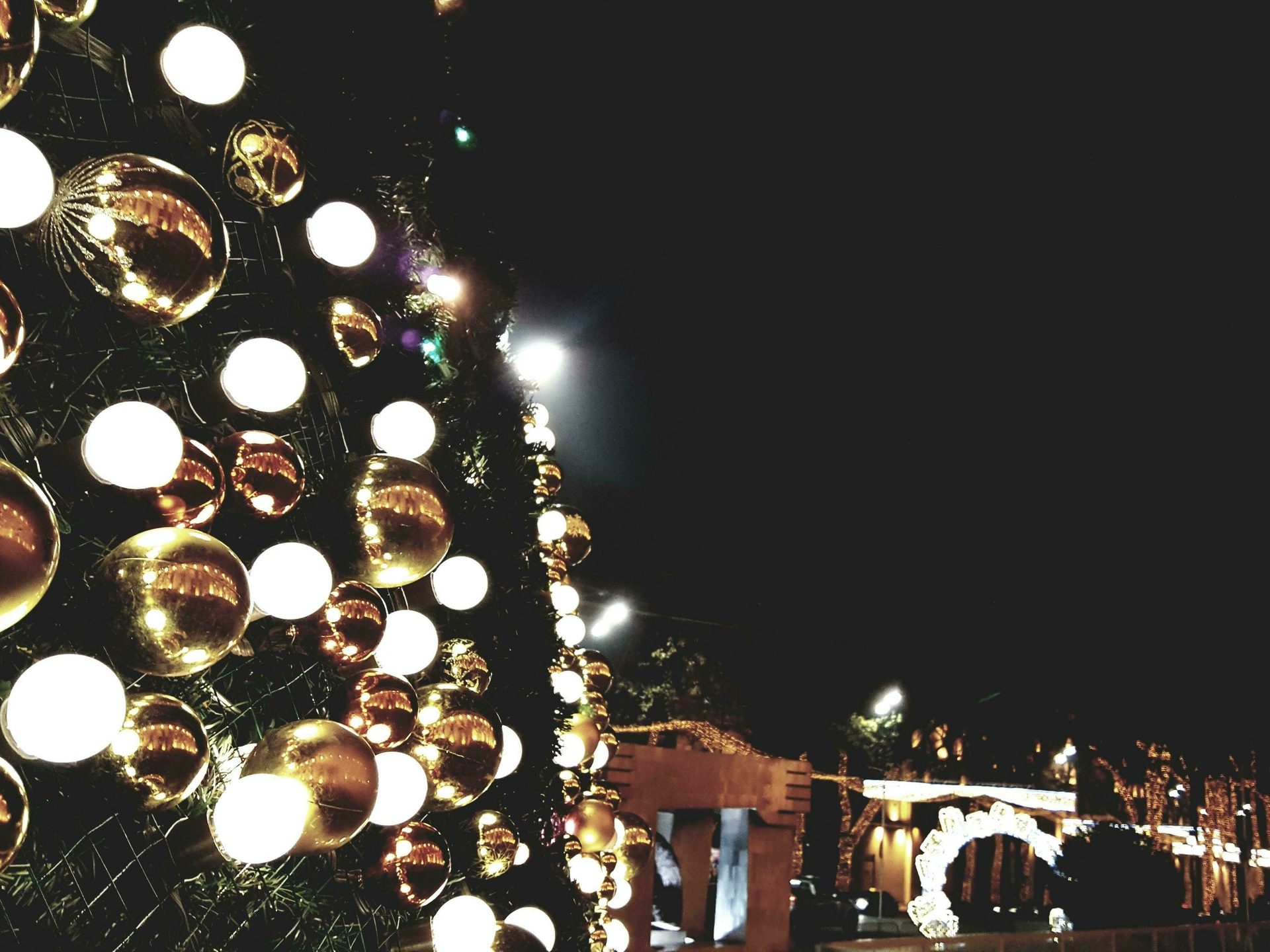 Santa's Grotto 2026 - Dobbies Birtley at Neville Hall