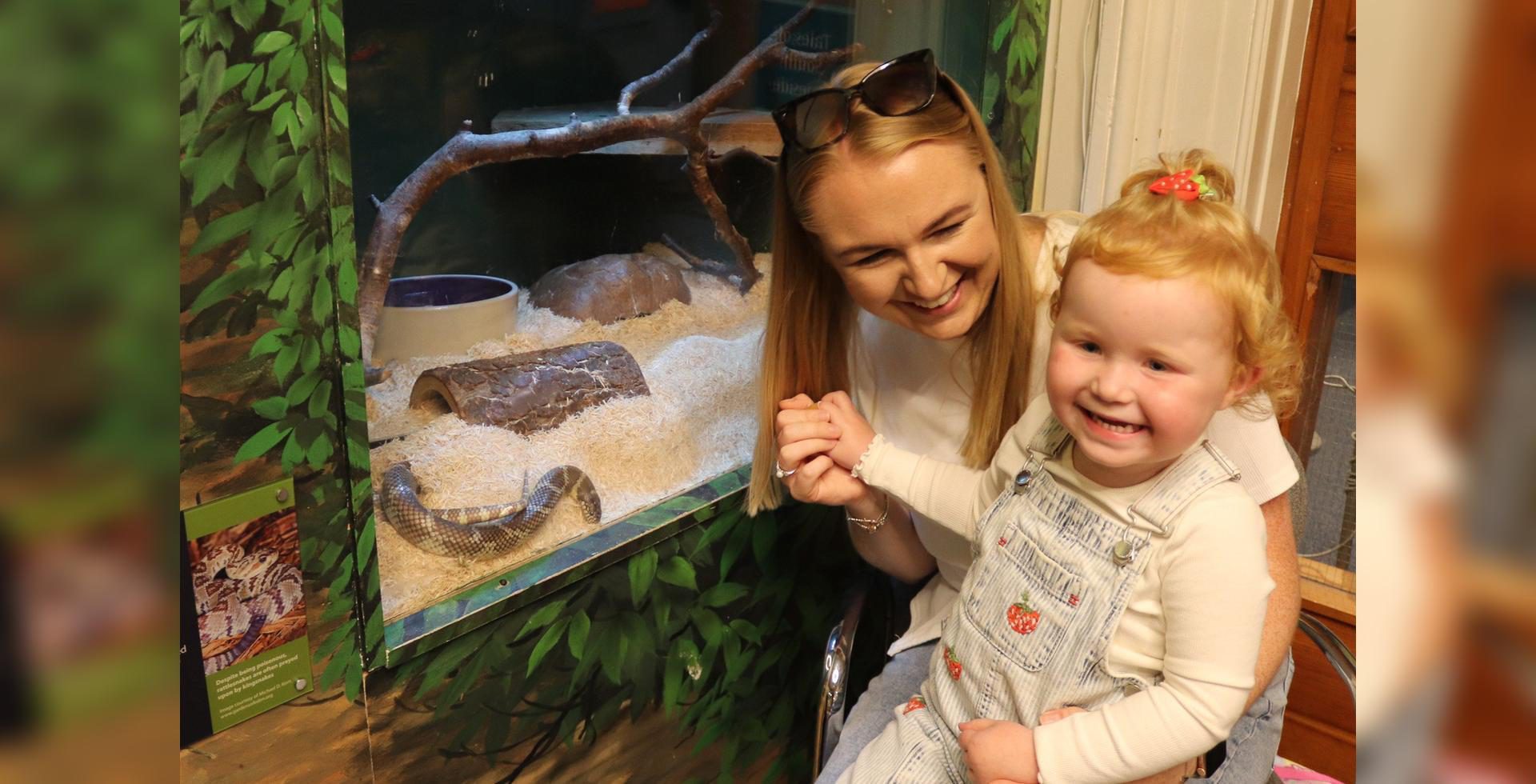 Animal Handling - South Shields Museum And Art Gallery