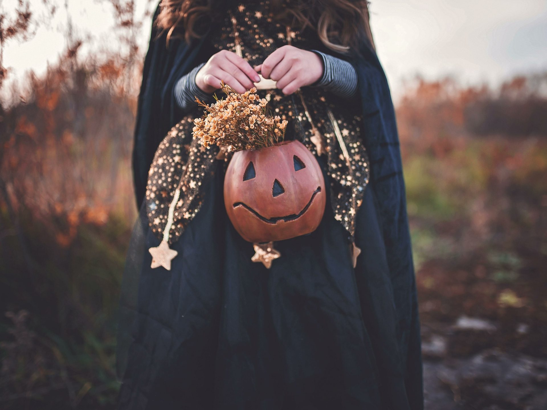 Halloween half-term - English Heritage: Belsay Castle, Hall and Gardens at Belsay Hall, Castle and Gardens