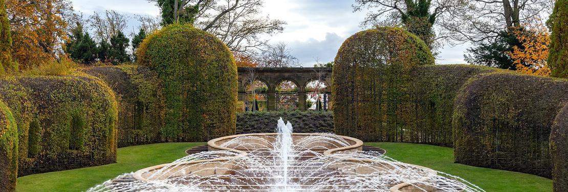 Alnwick Garden Autumn