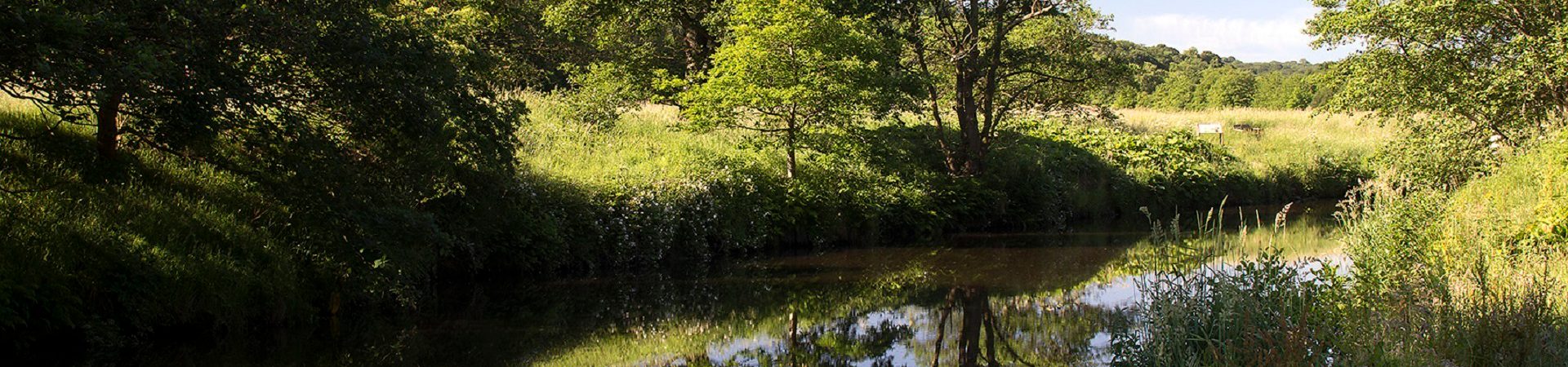 Derwent Country Park Hero Resized DC
