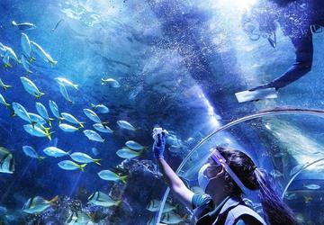 Tynemouth aquarium