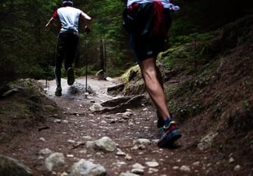 Animal Handling with Angelas Ark