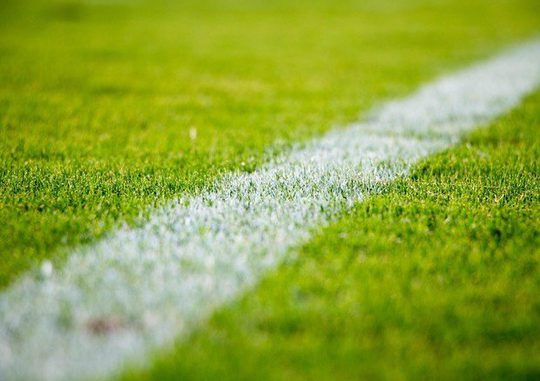 Premier League Sunderland vs Leeds United