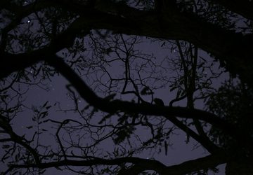 Talk - Hauntings on Tyneside by Icy Sedgwick