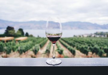 Hinnies Spanish Wine Dinner