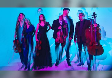 Vitamin String Quartet